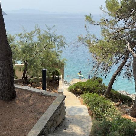 Apartments Bisko Prizba Εξωτερικό φωτογραφία
