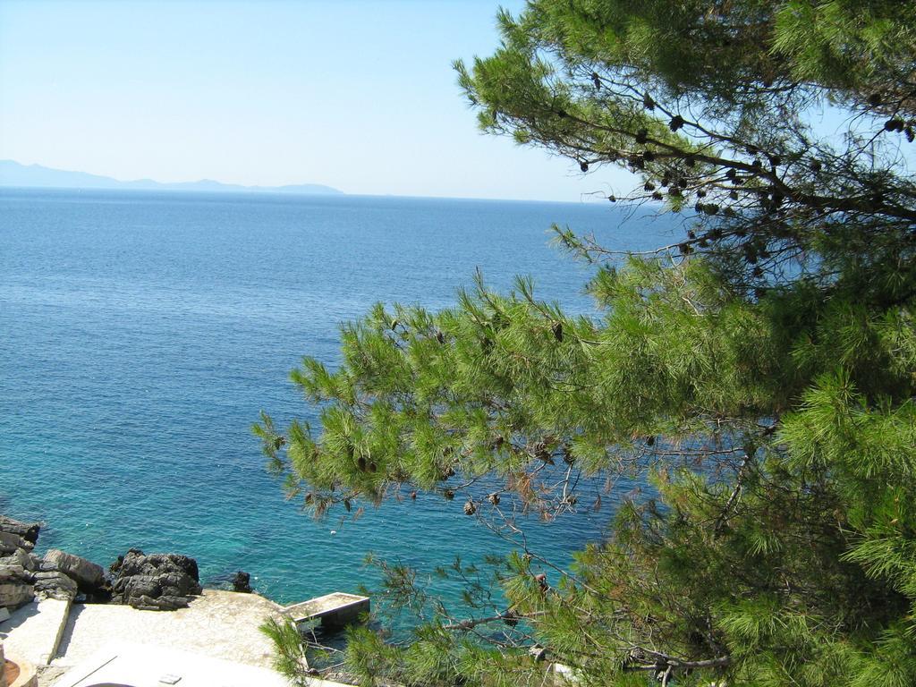 Apartments Bisko Prizba Δωμάτιο φωτογραφία